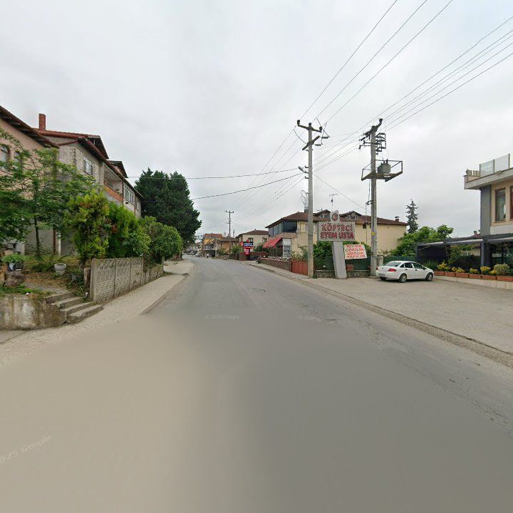 Fotoğraf 10