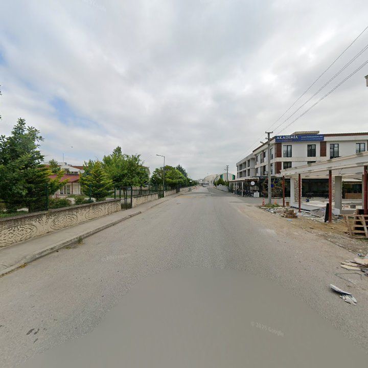 Fotoğraf 10