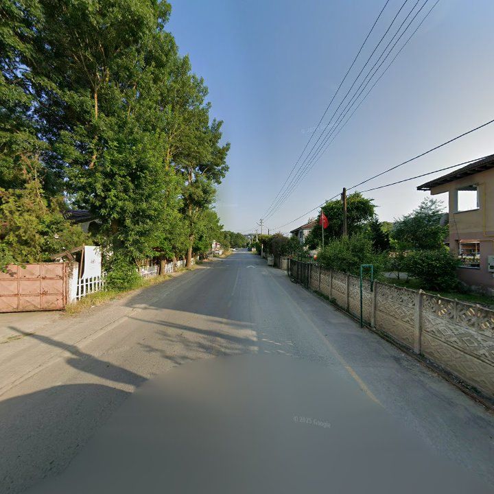 Fotoğraf 12