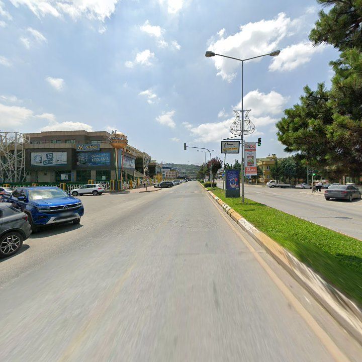 Fotoğraf 15