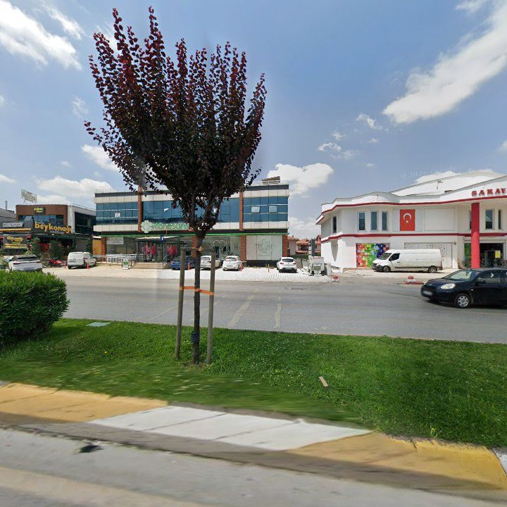 Fotoğraf 8