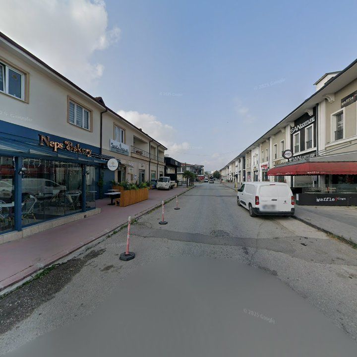 Fotoğraf 9
