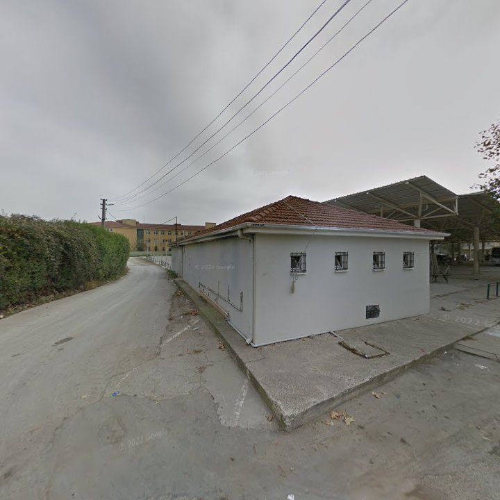 Fotoğraf 11
