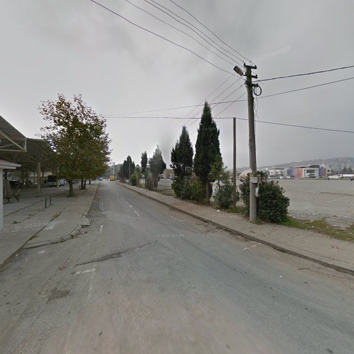 Fotoğraf 12