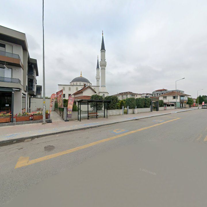 Fotoğraf 6