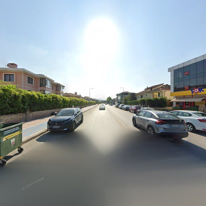 Fotoğraf 7