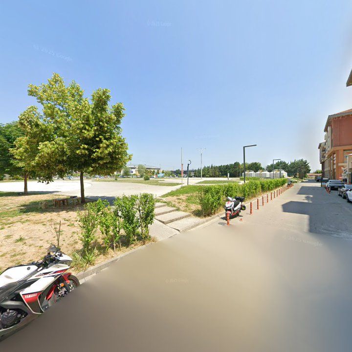 Fotoğraf 12