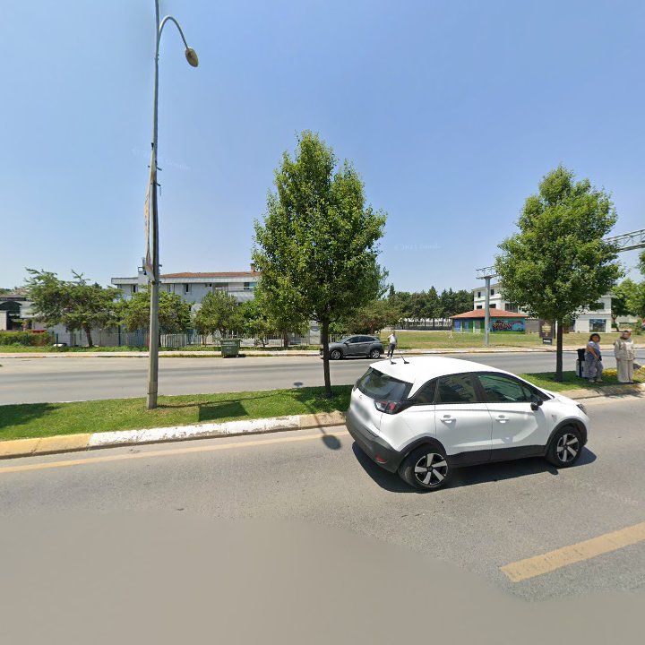 Fotoğraf 11