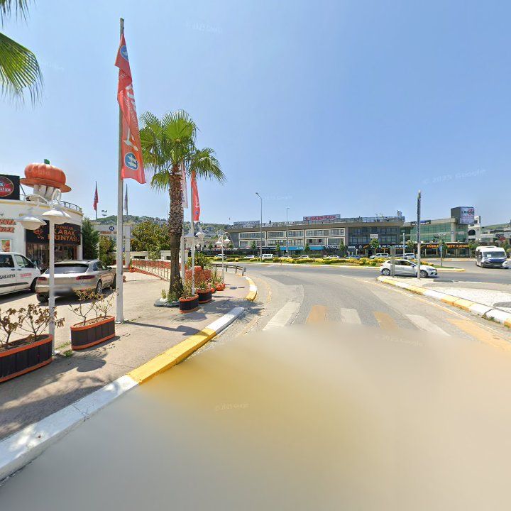 Fotoğraf 11