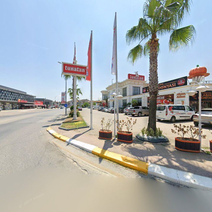 Fotoğraf 10