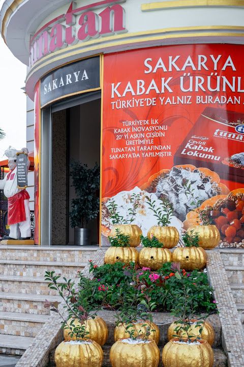 Tunatan Tesisleri Serdivan