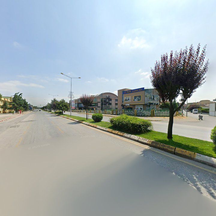 Fotoğraf 12