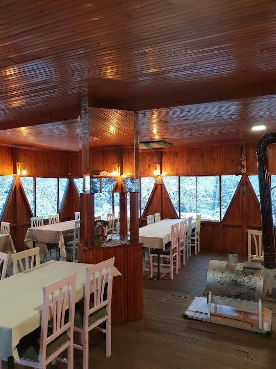 Fotoğraf 38