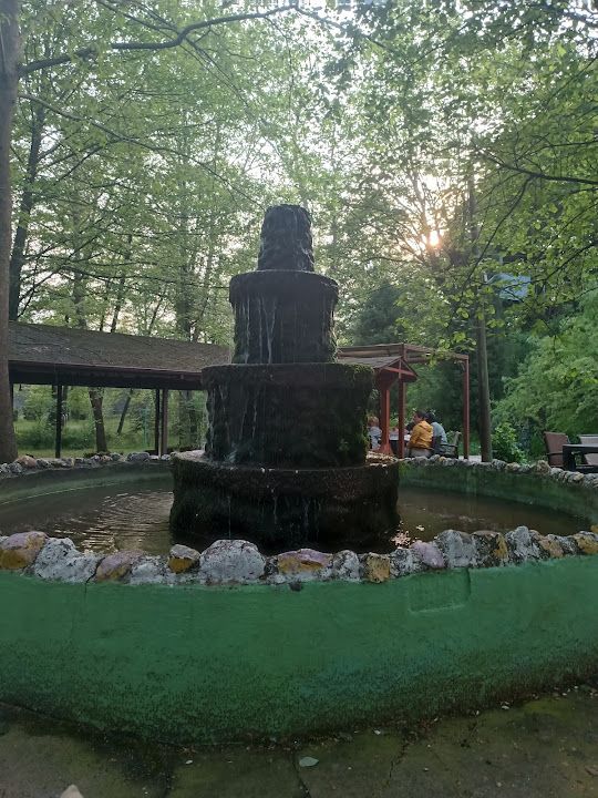 Fotoğraf 35