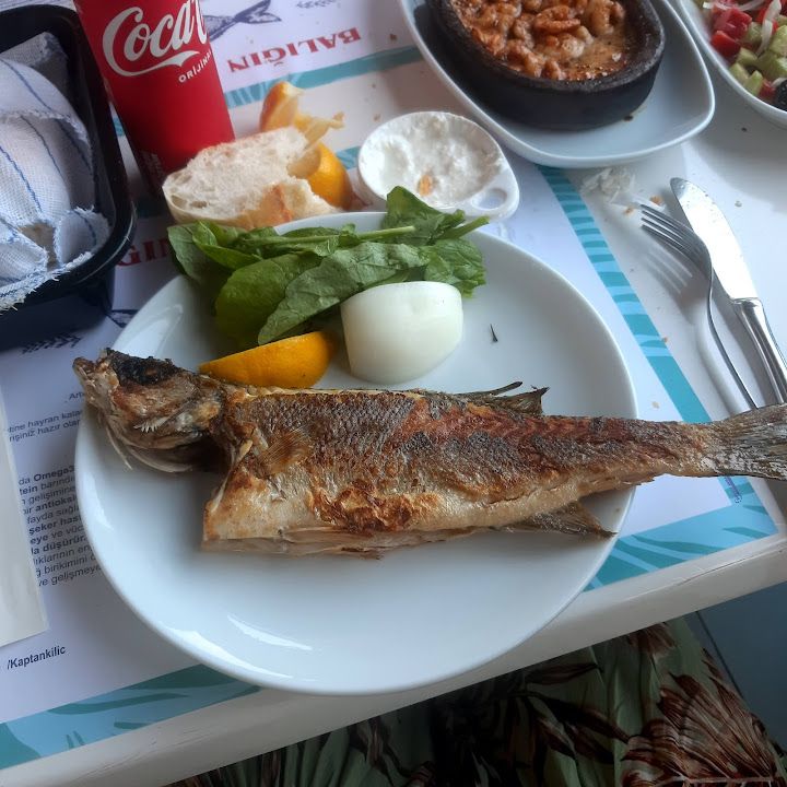Fotoğraf 19