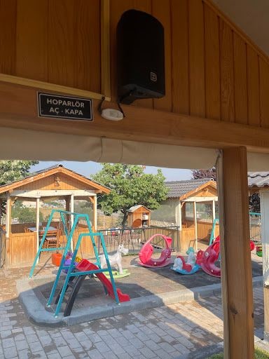Yorum fotoğrafı 8