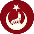serhun çabuk