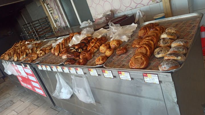 Fotoğraf 17