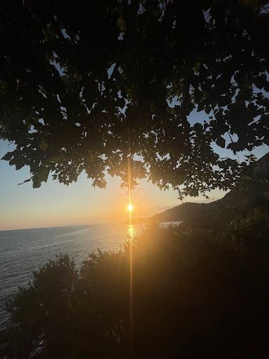 Yorum fotoğrafı 6