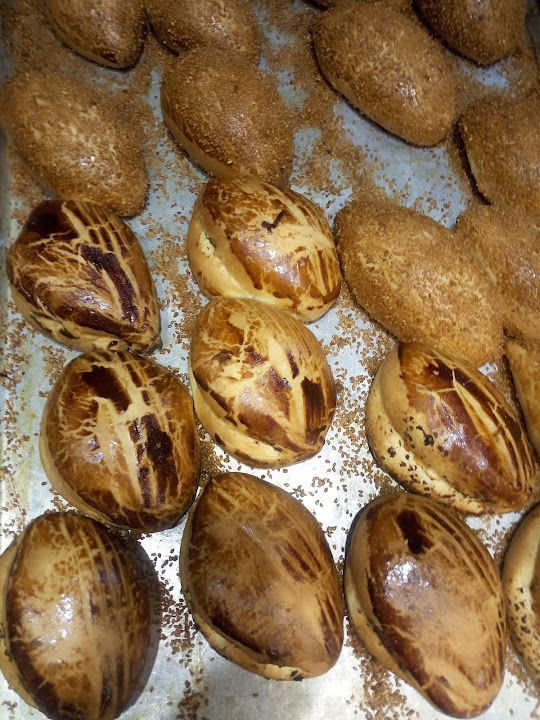 Fotoğraf 17