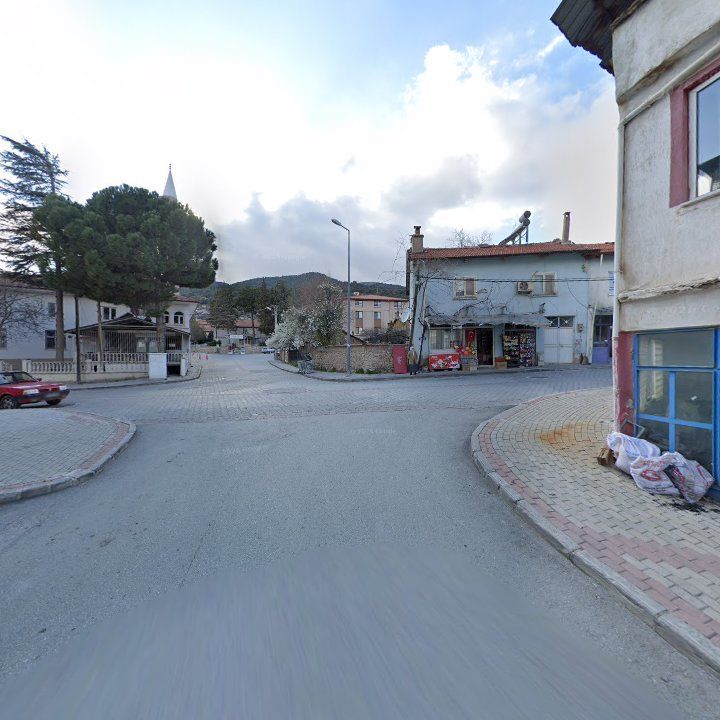 Fotoğraf 7