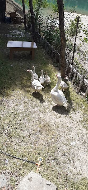 Yorum fotoğrafı 4