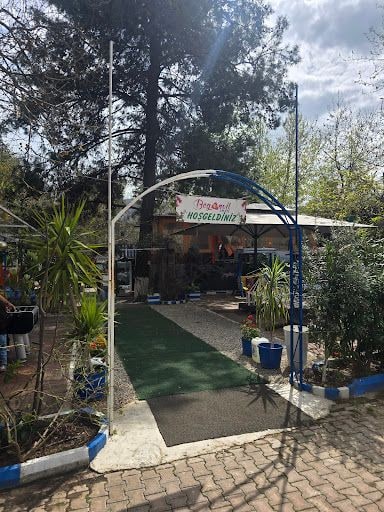 Yorum fotoğrafı 6