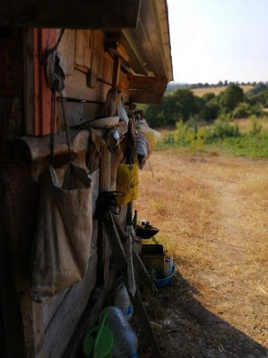 Fotoğraf 11