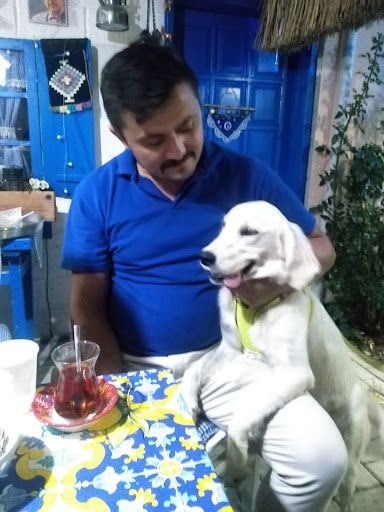 Yorum fotoğrafı 1