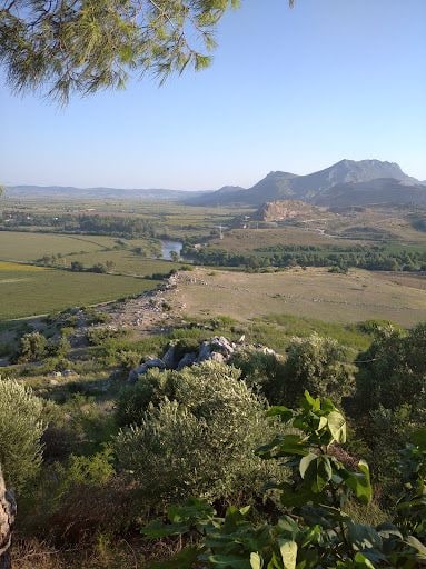 Yorum fotoğrafı 3