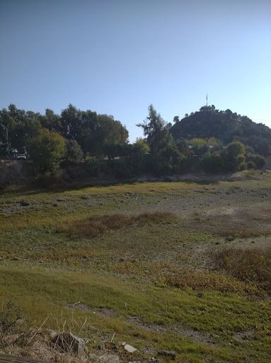 Yorum fotoğrafı 5