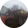 Serkan Çıkık