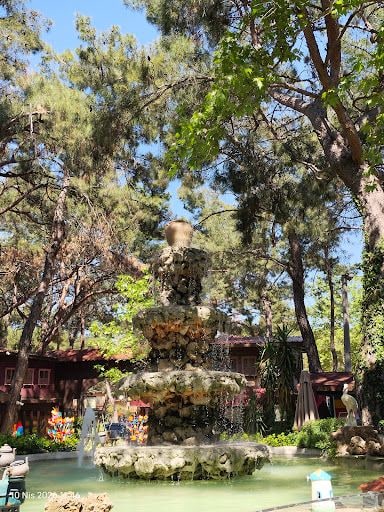 Yorum fotoğrafı 4