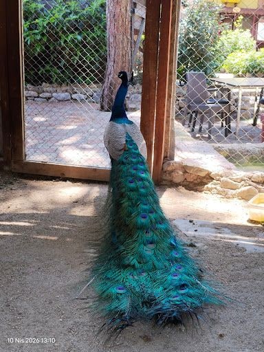 Yorum fotoğrafı 5
