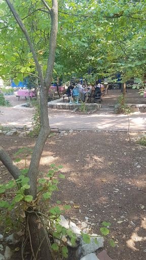 Yorum fotoğrafı 5