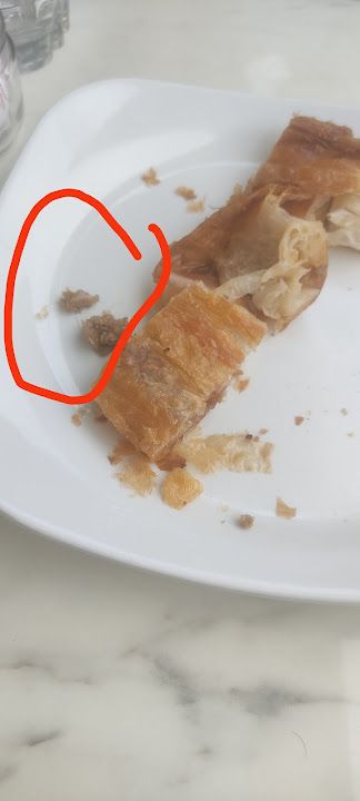 Fotoğraf 16