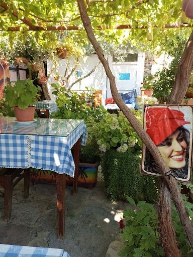 Fotoğraf 9