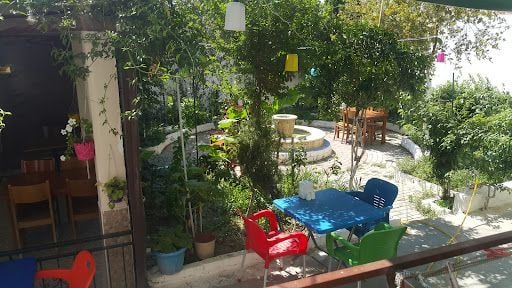 Fotoğraf 14