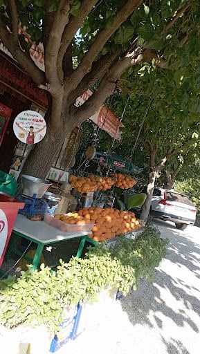 Fotoğraf 20