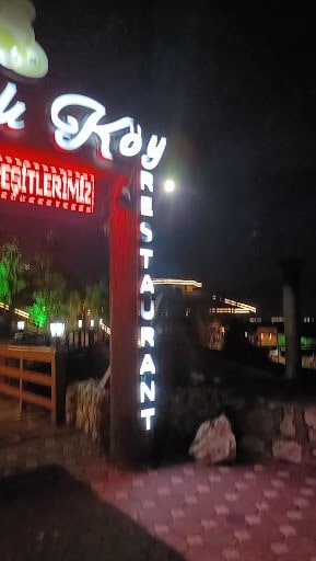 Yorum fotoğrafı 2