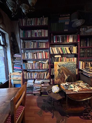 Yorum fotoğrafı 4