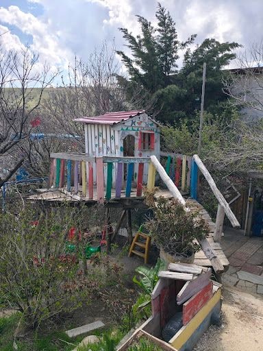 Yorum fotoğrafı 3