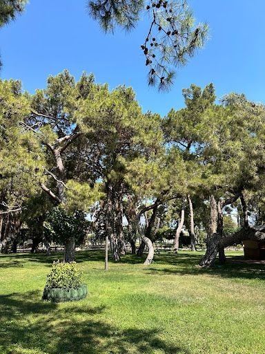 Yorum fotoğrafı 5