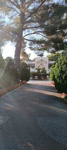 Yorum fotoğrafı 9