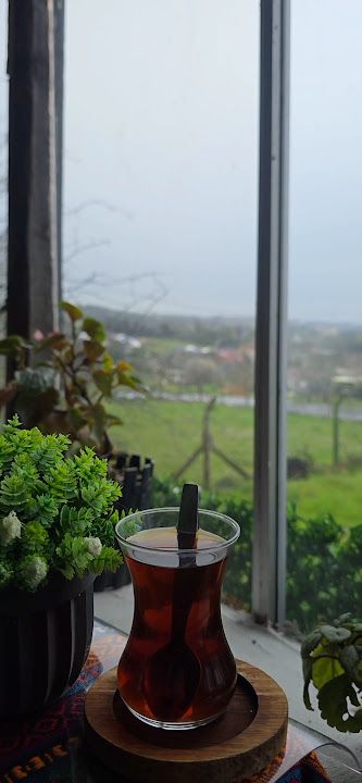 Fotoğraf 20