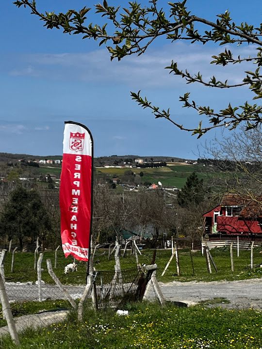 Fotoğraf 13