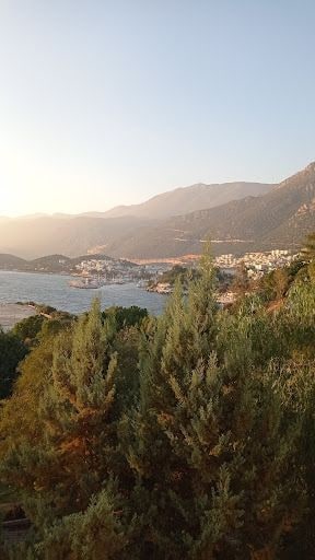 Yorum fotoğrafı 3
