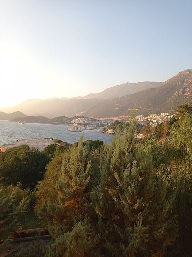 Yorum fotoğrafı 4