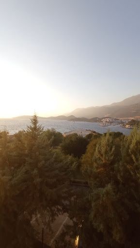 Yorum fotoğrafı 5