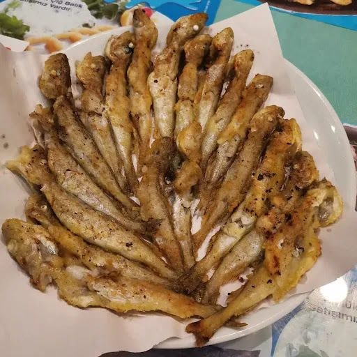 Yorum fotoğrafı 3
